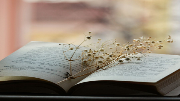 あなたのスキルが求められている！介護業界で活躍する専門職の仕事